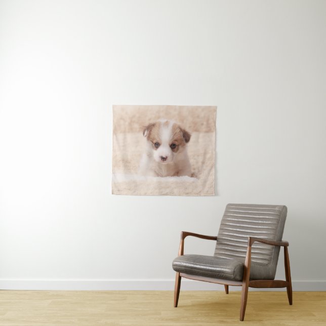 Tenture Animaux de bébés cutest | Baby Corgi (En situation (horizontale))