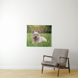 Tenture Animaux de bébés cutest   Cairn Terrier Dog