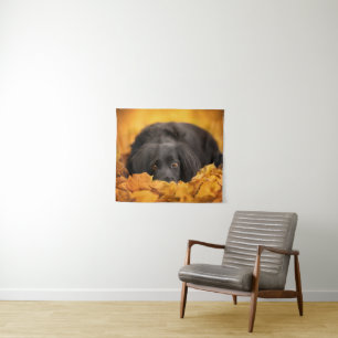 Tenture Animaux de bébés cutest   Chiot noir espagnol
