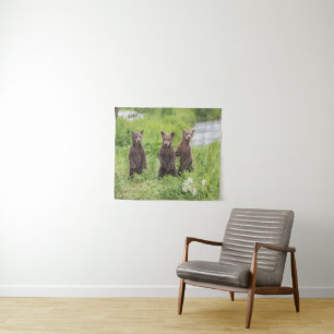 Tenture Animaux de bébés cutest   Cubes d'ours Brown Kamch