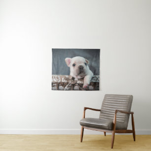 Tenture Animaux de bébés cutest   French Bulldog