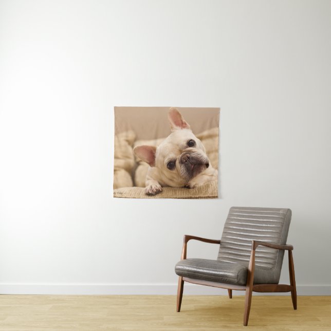 Tenture Animaux de bébés cutest | French Bulldog Head Tilt (En situation (horizontale))