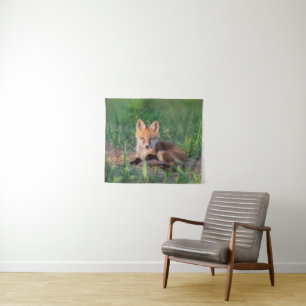 Tenture Animaux de bébés cutest   Kit Red Fox Relaxant