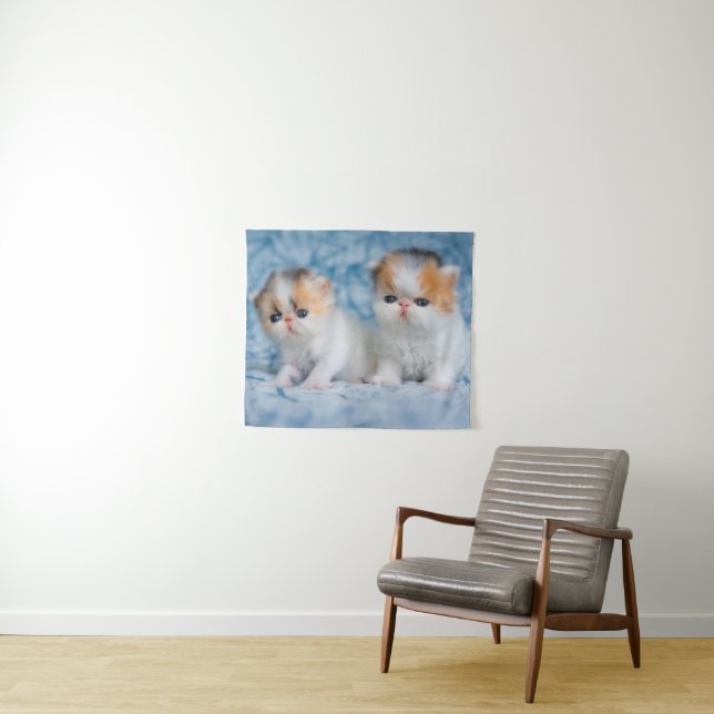 Tenture Animaux de bébés cutest | Persian Calico Kitten (En situation (horizontale))