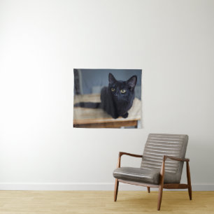 Tenture Animaux de bébés cutest   Portrait d'un chat noir