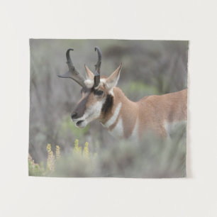 Tenture Antilope d'Amérique mâle Grand Tetons