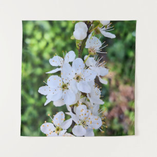 Tenture Arbre en Fleur au Printemps Roumanie – Photographi