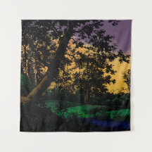 Arbres au coucher du soleil