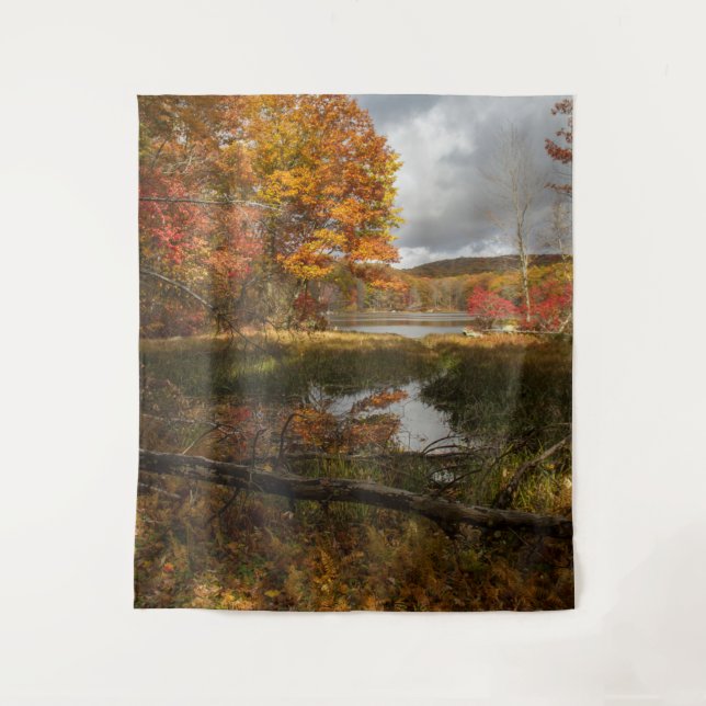 Tenture Automne du Nord-Est (Devant)