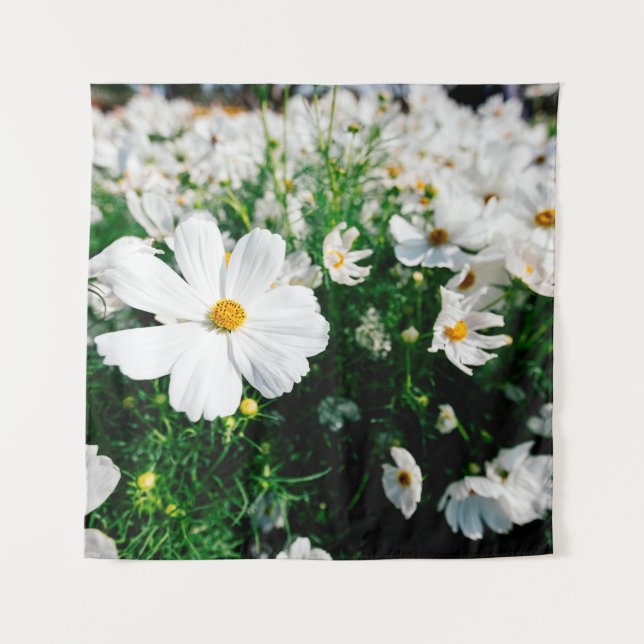 Tenture Belle fleurs de cosmos blanc fleurissant dans la g (Devant)