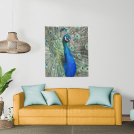 Tenture Belles plumes de paon bleu