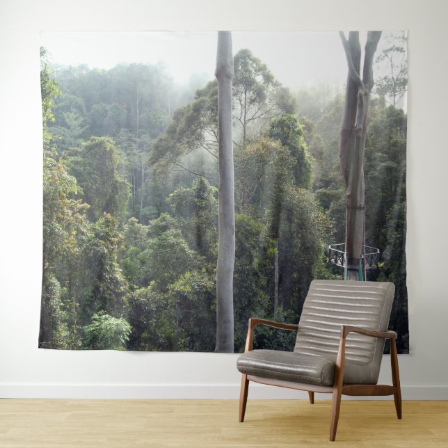 Tenture Borneo Ranforest Jungle Canopy Paysage Contexte (En situation (horizontale))