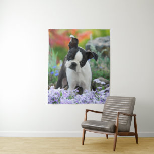 Tenture Boston Terrier Chien Cute Chiot Animal Head Photo