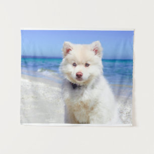 Tenture Canine blanche de chien de Samoyed de Spitz de