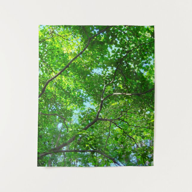 Tenture Canopée verte, branches feuillues avec ciel bleu (Devant)
