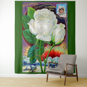 Tenture Catalogue rose des années 1890 illustration Rose b