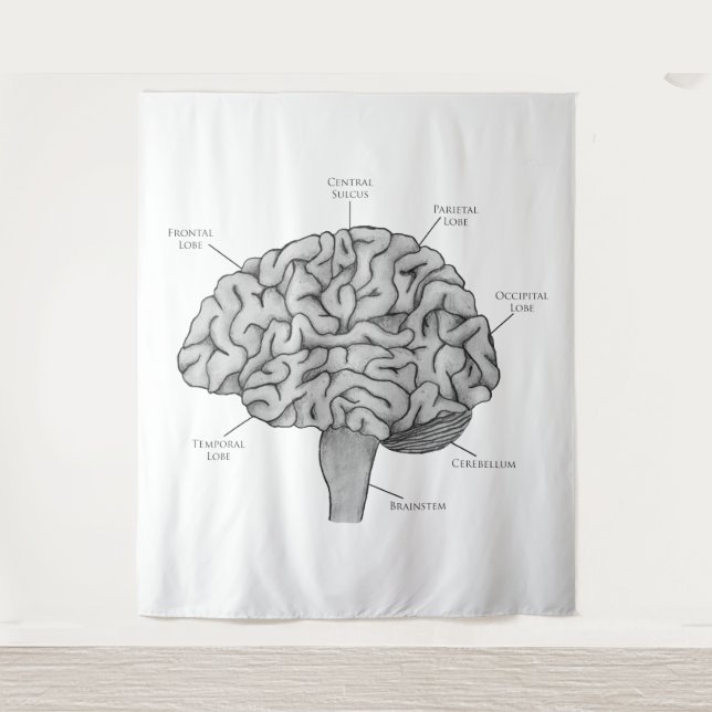 Tenture Cerveau scientifique (Devant)