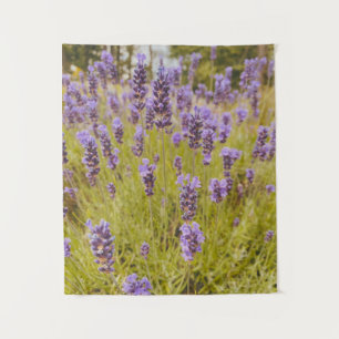 Tenture Champ Lavender