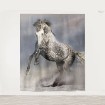Cheval gris dappu andalou en mouvement