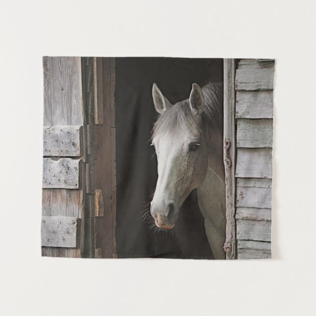 Tenture Cheval gris-jument (Devant (Horizontal))