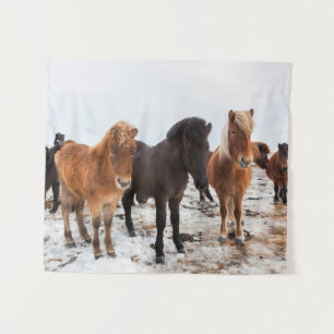 Tenture Cheval islandais en hiver en Islande