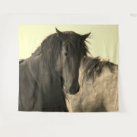 CHEVAUX SAUVAGES DE L'UTAH STALLION NOIR