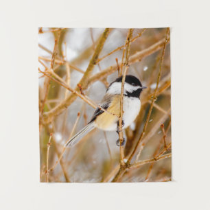 Tenture Chickadee au plafond noir - Photo originale