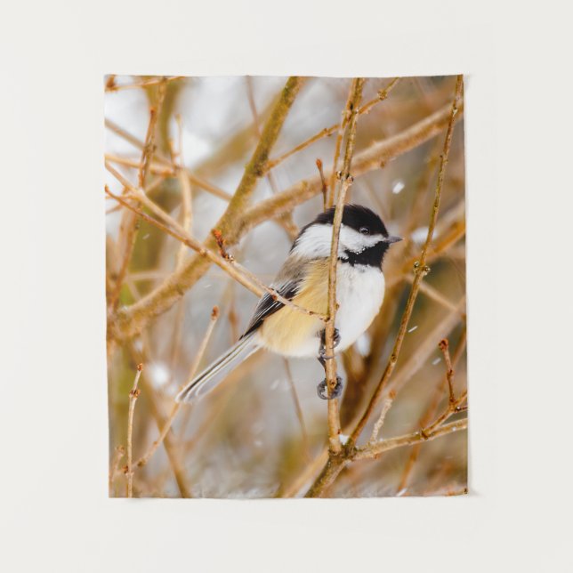 Tenture Chickadee au plafond noir - Photo originale (Devant)