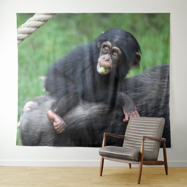 Tenture Chimpanzé 032 (En situation (horizontale))