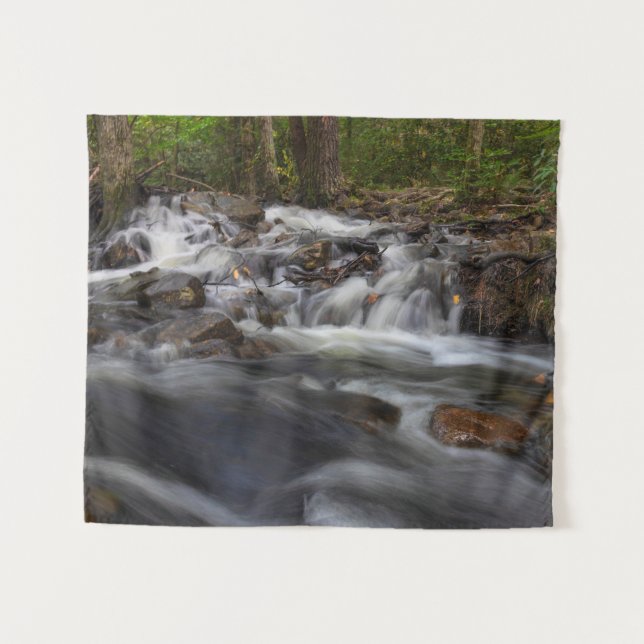 Tenture Chutes sur Sand Spring Run (Devant (Horizontal))