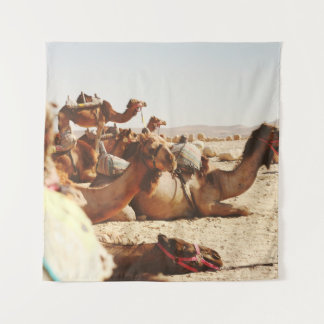 TENTURE CINQ CAMELS SUR LE TERRAIN