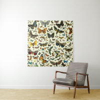 Collage des papillons de nuit et des papillons de