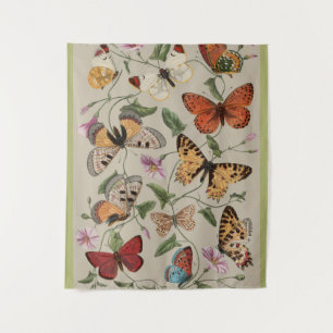 Tenture Collection de la papillon Moth Nature Dessin