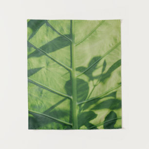Tenture Colocasia feuille esculenta