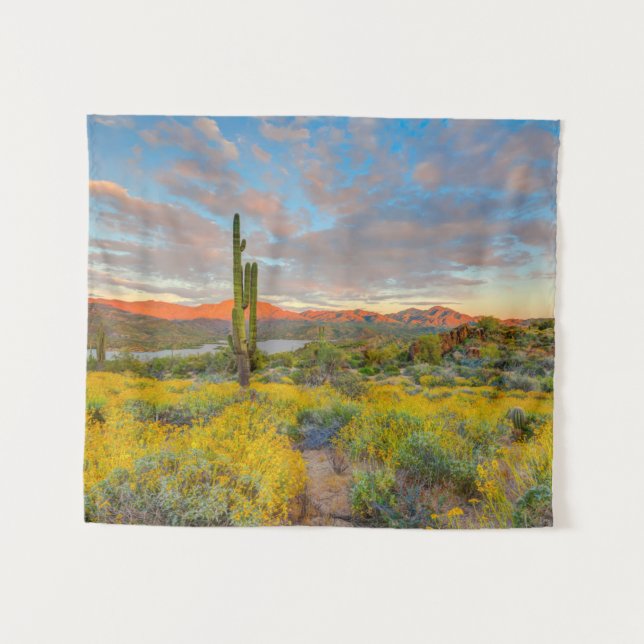 Tenture Coucher du soleil sur le paysage désertique (Devant (Horizontal))