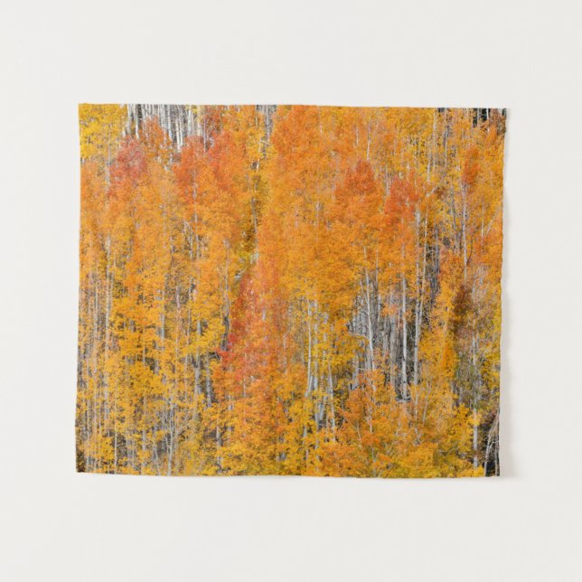 Tenture Couleurs d'automne sur Aspen Groves (Devant (Horizontal))