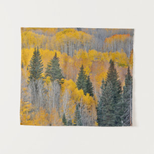 Tenture Couleurs d'automne sur Aspen Groves