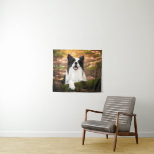 Tenture Cutest Baby Animals   Black and White Border Colli