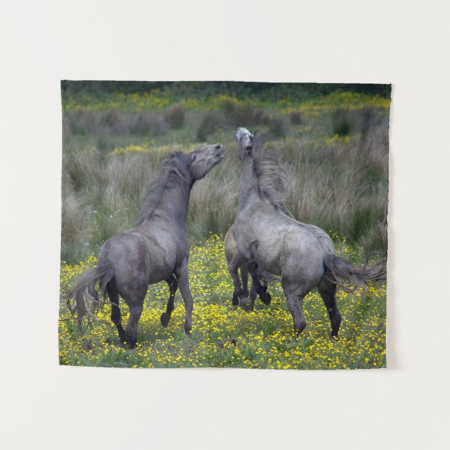 Tenture Deux chevaux Buck and Play (Devant (Horizontal))