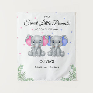 Tenture Elephant Twin Girl Baby shower garçon arrière-plan