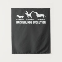 Évolutions de Dachshund