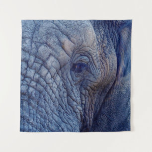 TENTURE EXPÉRIENCE MARCHER AVEC LES ÉLÉPHANTS COMMENT ET H
