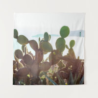 Feuilles de cactus. Plante extérieur avec lumière 