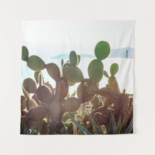 Tenture Feuilles de cactus. Plante extérieur avec lumière  (Devant)
