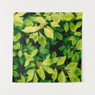 Tenture feuilles verts frais ont l'air belle et très natur