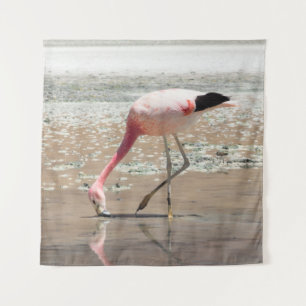 TENTURE FLAMANT ROSE ROSE SUR LE CORPS D'EAU