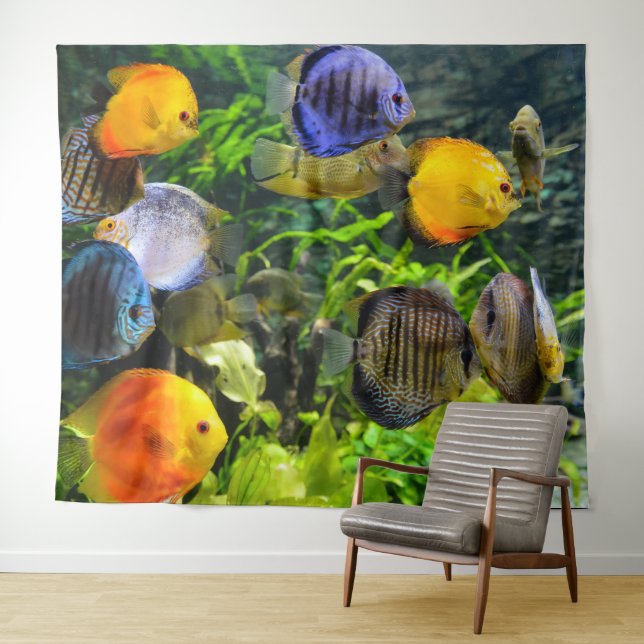 TENTURE FOND POUR PHOTO DE POISSONS BEAUX (En situation (horizontale))