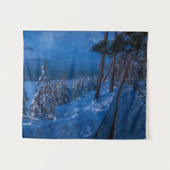 Tenture Forest path at winter night (Devant (Horizontal))