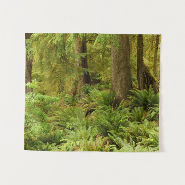 Tenture Forêt luxuriante et fougères | Ecola State Park, O (Devant (Horizontal))