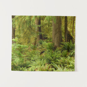 Tenture Forêt luxuriante et fougères Parc d'État Ecola,